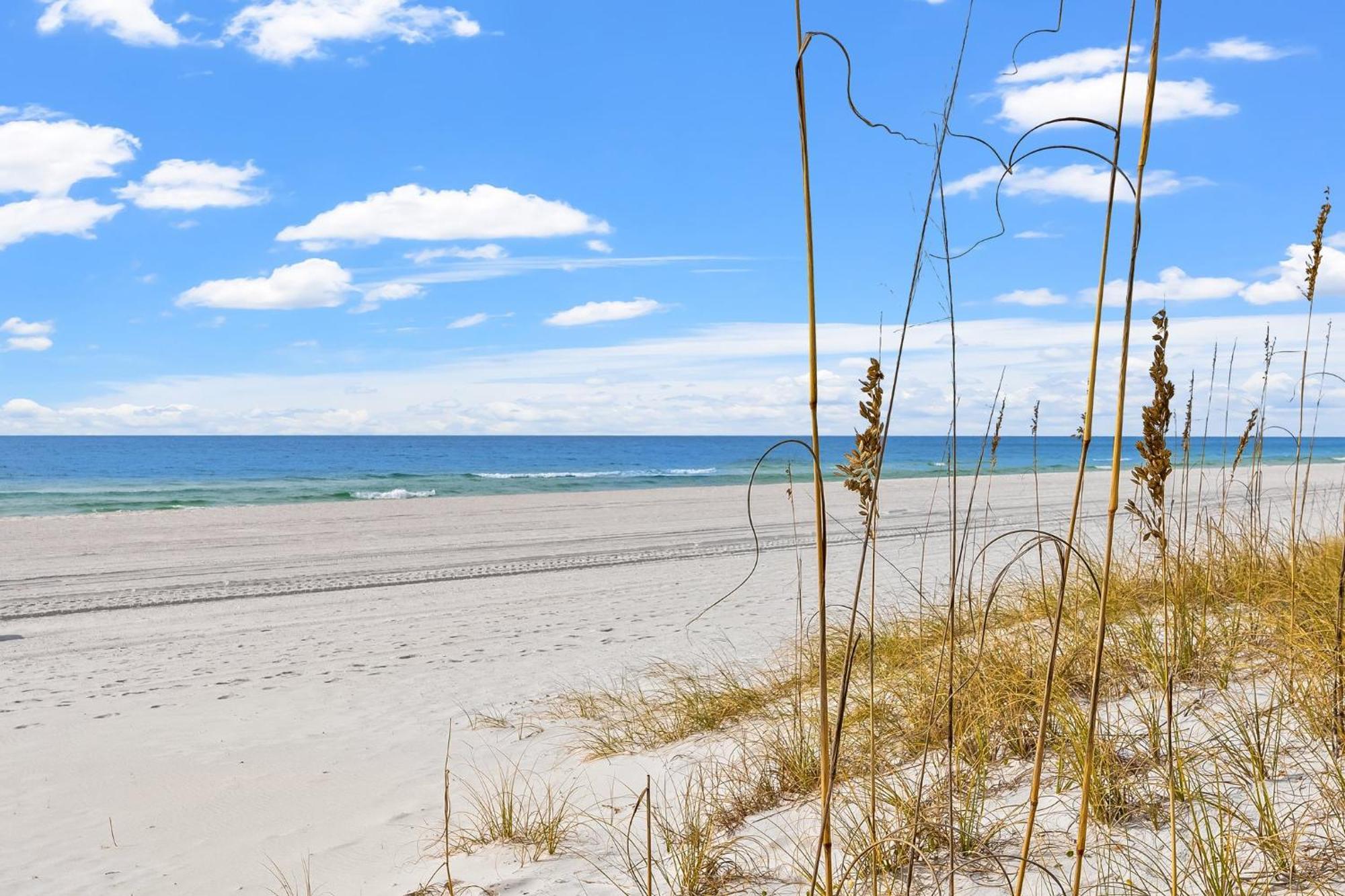 Treasure Island 1710 Apartment Panama City Beach Bagian luar foto